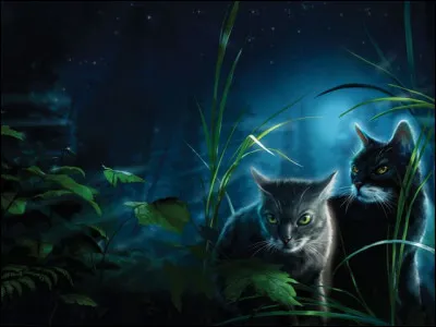 Qui sont ces deux surs ?