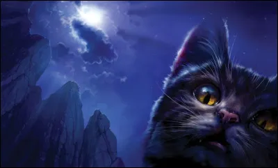 Celui-là a secondé Étoile de Feu.