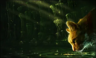 Ce chat fait partie des élus de la prophétie, qui est-ce ?