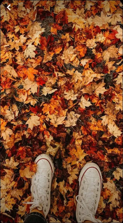 Pour finir, parmi ceux-ci, quel arbre préfères-tu ?