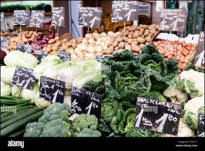 Commune de 500 habitants du département du Loiret, près de Gien :