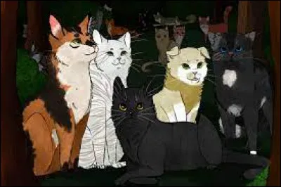 Tu es enfin nommé apprenti ! Que rêves-tu de faire ?