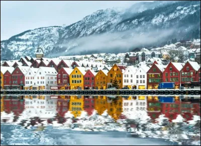 Quel pays représente ce paysage ?