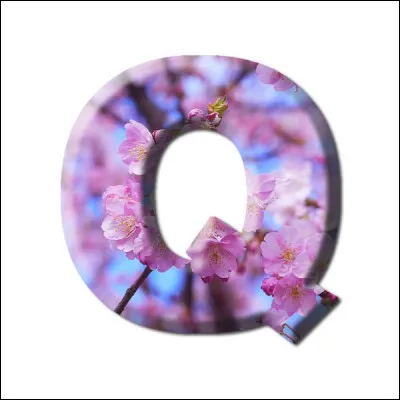 Question : qui chantait "Pas de questions ni rébellion règles du jeu fixées, mais les dés sont pipés" ?