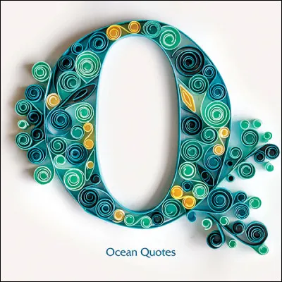 Queue de renard : à quoi correspond la fleur appelée "queue-de-renard" ?