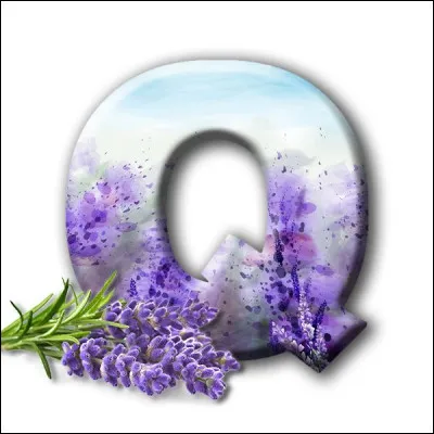 Quatrevingt-treize : qui est l'auteur de ce roman ?