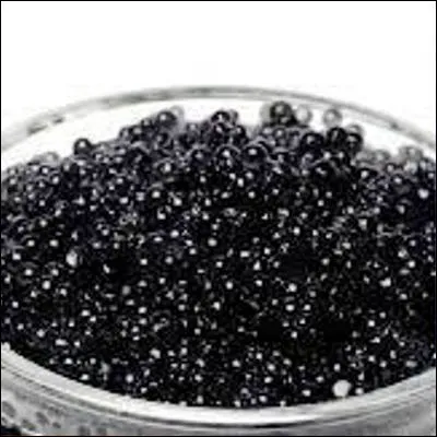 De quel poisson osseux utilise-t-on les �ufs pour &eacute;laborer le caviar ?