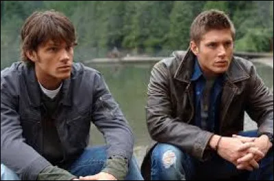 (Épisode 8 saison 4) 
Quel vu fait la petite fille ?