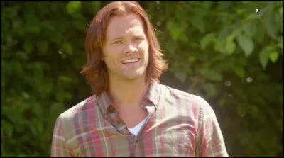 Comment Sam a-t-il appelé le chien qu'il a renversé ?