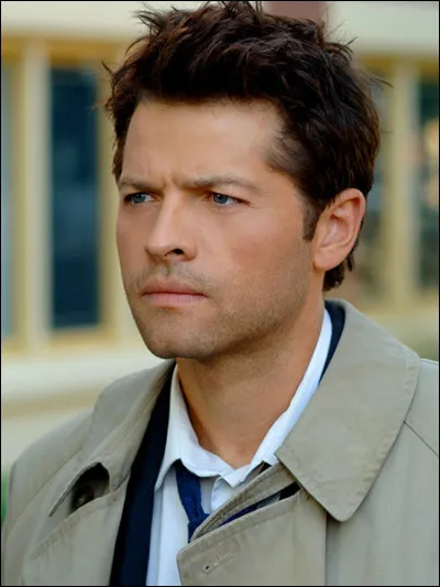 (Épisode 3 saison 9)
Par qui est tué Castiel ?