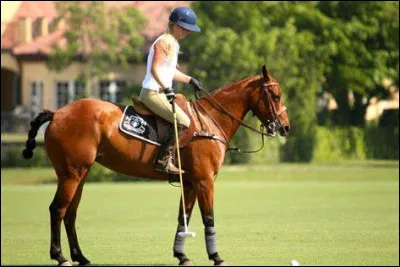 Quelle est cette race ?