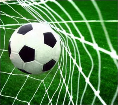 La France a gagnée 2 titres de Coupe du monde.