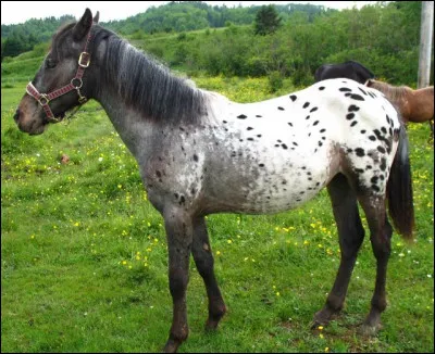 Si tu étais un personnage de ''Oscar et Malika'' que ferais-tu ?