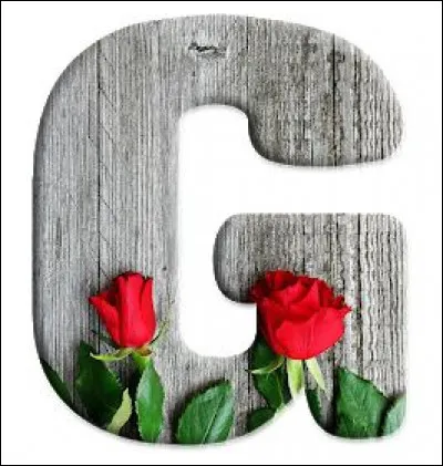 Galápagos : à quel pays appartiennent ces îles ?