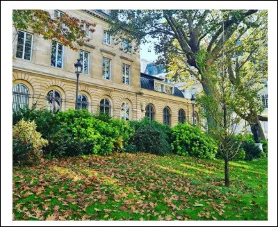Fond&eacute; en 1530 sous Fran&ccedil;ois 1er, le Coll&egrave;ge de France situ&eacute; dans le 5e arrondissement dispense gratuitement des cours de haut niveau ouverts &agrave; tous sans condition. Que signifie sa devise "Docet omnia" qui r&eacute;sume sa vocation ?