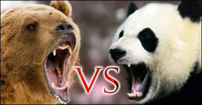 Vrai ou faux : le panda fait partie de la famille du grizzli :