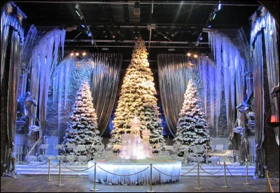 Que reçoit Harry Potter à son premier Noël à Poudlard, de la part de son oncle et sa tante ?