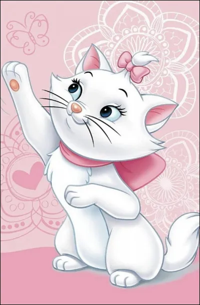 Que préfères-tu faire ?