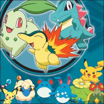 Pourquoi voudrais-tu un Pokémon ?