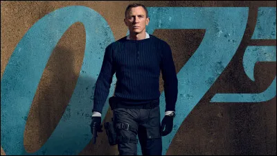 Cette affiche représente quel film ?