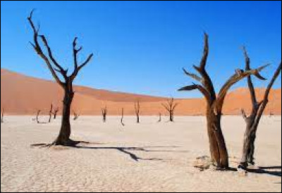 Dans quel pays d'Afrique se situe le désert du Namib ?