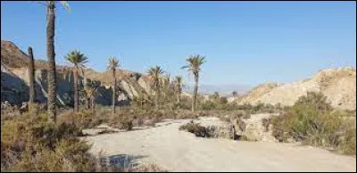 O&ugrave; se situe le d&eacute;sert de Tabernas qui a servi de d&eacute;cor aux c&eacute;l&egrave;bres westerns spaghetti du r&eacute;alisateur Sergio Leone ?