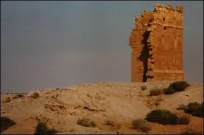 Qasr el-Heir el-Gharbi est un ch&acirc;teau du d&eacute;sert. O&ugrave; se trouve-t-il ?