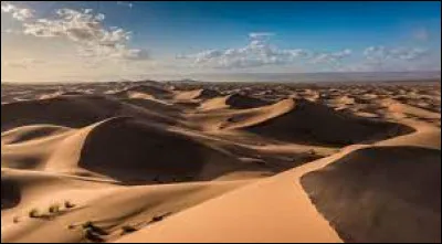 Qui chante "Quand t'es dans le d&eacute;sert" dans les ann&eacute;es 70 ?