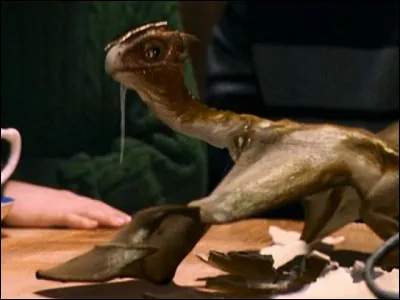 Comment se nomme le bébé dragon que Hagrid avait adopté ?