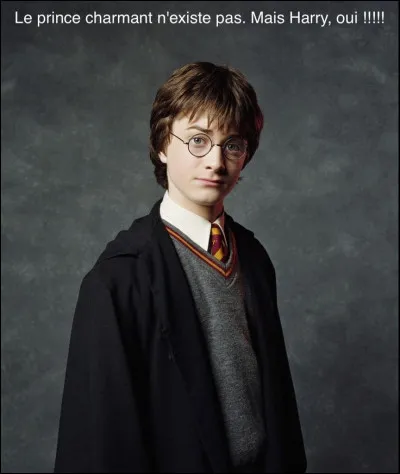 Par qui a été créée l'histoire de Harry Potter ?