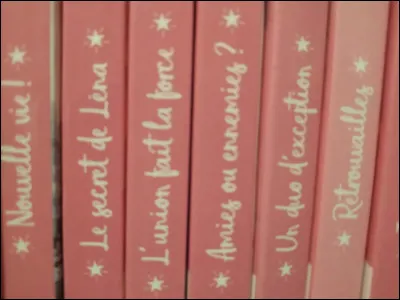 Combien y a-t-il de saisons dans "Léna rêve d'étoile" ?