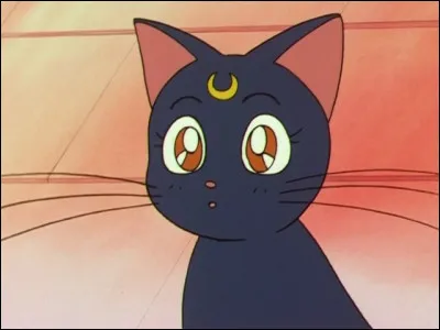 Comme s'appelle le chat qui permet à Sailor Moon d'obtenir des pouvoirs ?