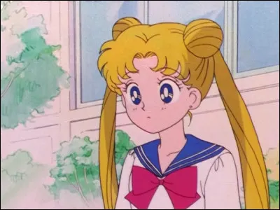 Quelle est la véritable identité de Sailor Moon ?