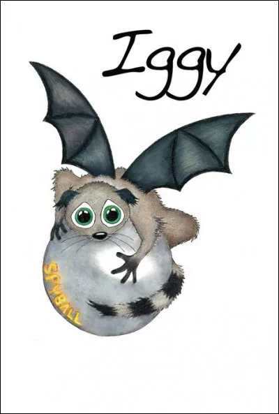 Combien de fois Iggy a-t-il changé de couleurs ?