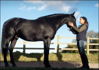 Pourquoi les aide-t-il ?