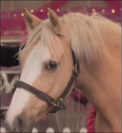 Comment s'appelle le poney d'Heather ?
