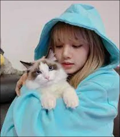 Comment sappellent les chats de Lisa ?