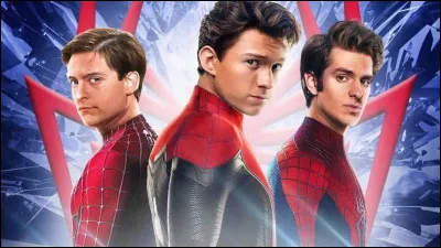 Quand a eu lieu la première vision du film "Spider-Man : No Way Home" en France ?