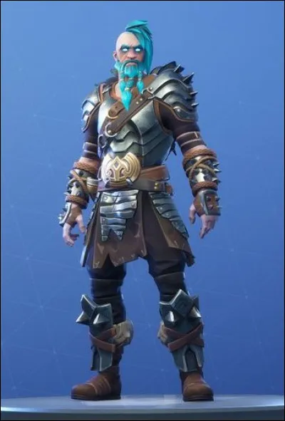 Quel est ce Skin ?
