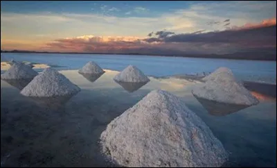 Ce métal est en passe de devenir l'or blanc du XIXe siècle. Quel est son nom ?