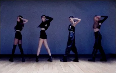 Dans un groupe KPOP, quelle place aimerais-tu le plus obtenir ?