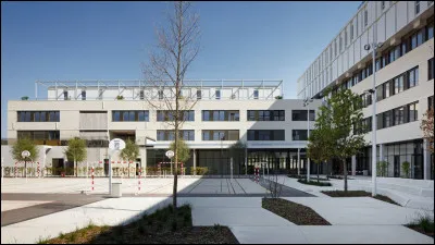 Dans ton lycée, tu es dans léquipe :