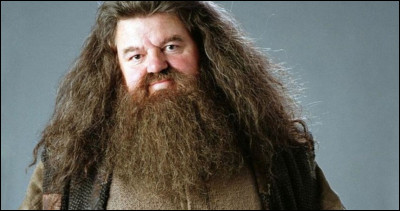Qu'en est-il de Rubeus Hagrid ?