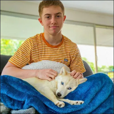 Combien d'abonnés Michou a-t-il ?