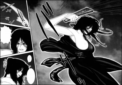 De quel clan fait partie Akeginu ?