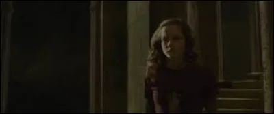 Quelle formule Hermione utilise-t-elle pour lancer les oiseaux conjurés à Ron ?