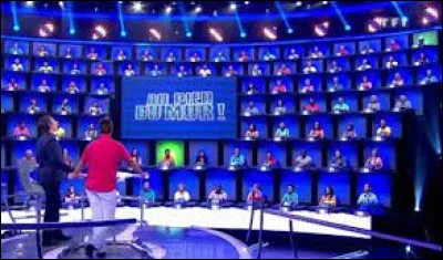 Qui a animé le jeu télévisé "Au pied du mur" diffusé sur TF1 entre 2012 et 2014 ?