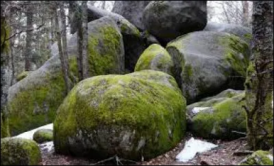 Complétez cette expression : "Pierre qui roule...