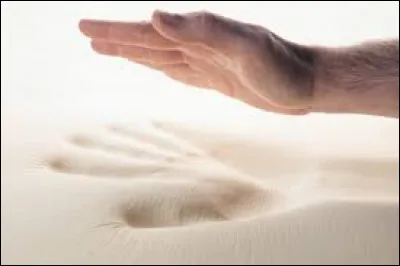 Quel est le composant principal de la mousse à mémoire de forme ?