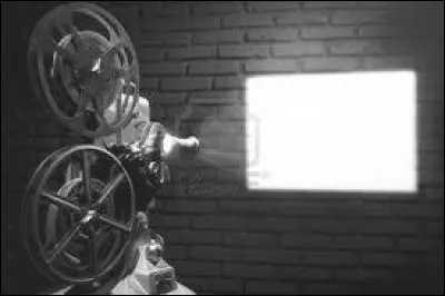 Durant quelle décennie est sorti le film muet "Le calvaire du mousse" ?